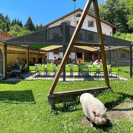 Gasthof Fallmuehle Pfronten Exteriör bild