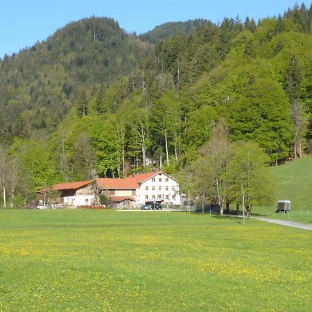 Gasthof Fallmuehle Pfronten Exteriör bild