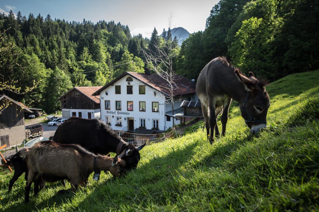Gasthof Fallmuehle Pfronten Exteriör bild