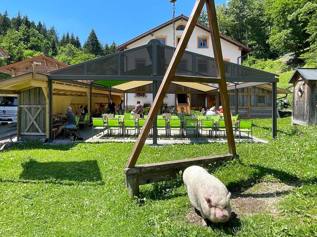 Gasthof Fallmuehle Pfronten Exteriör bild