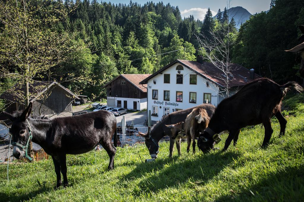 Gasthof Fallmuehle Pfronten Exteriör bild