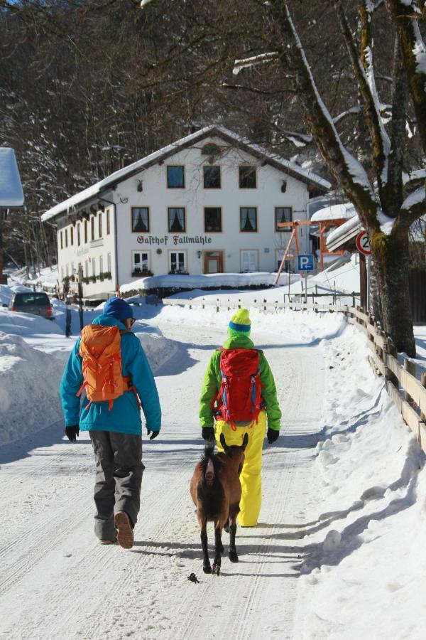 Gasthof Fallmuehle Pfronten Exteriör bild