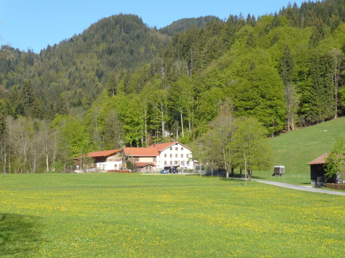 Gasthof Fallmuehle Pfronten Exteriör bild